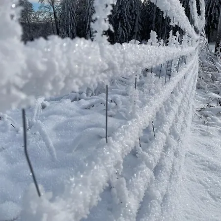 Berghuette Astenpanorama Dom wakacyjny Winterberg