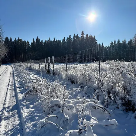 Berghuette Astenpanorama Dom wakacyjny *