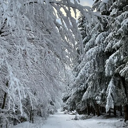 Berghuette Astenpanorama Winterberg