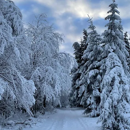 Nyaraló Berghuette Astenpanorama Winterberg
