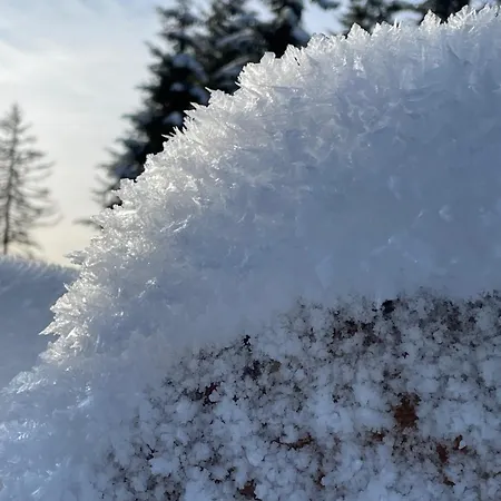 Berghuette Astenpanorama * Winterberg