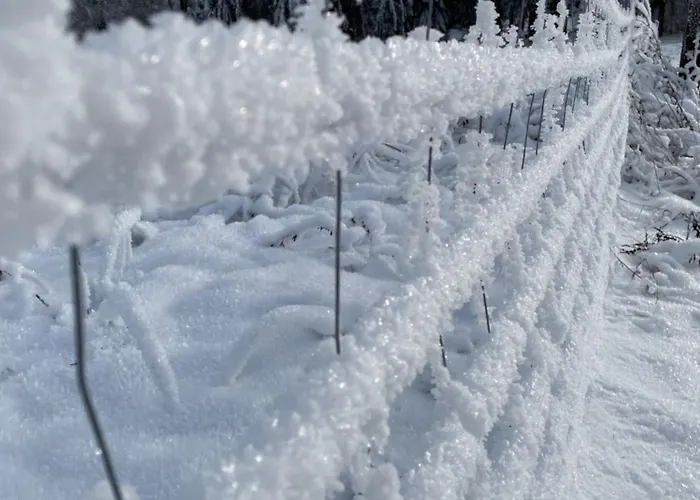 Berghuette Astenpanorama Vakantiehuis Winterberg