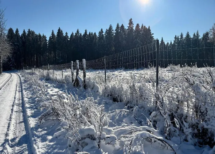 Berghuette Astenpanorama Feriehus *