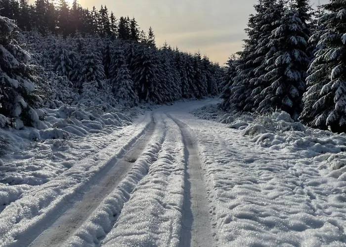 Berghuette Astenpanorama Feriehus Winterberg