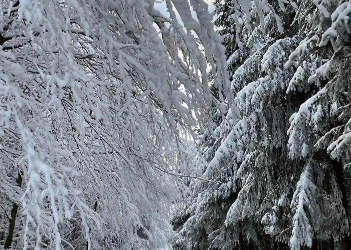 Berghütte Astenpanorama Winterberg