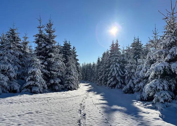 Berghütte Astenpanorama * Winterberg