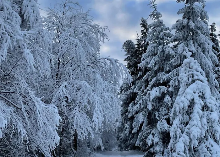 Сasa de vacaciones Berghütte Astenpanorama Winterberg