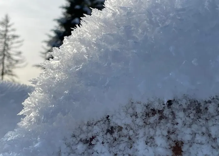 Berghütte Astenpanorama * Winterberg