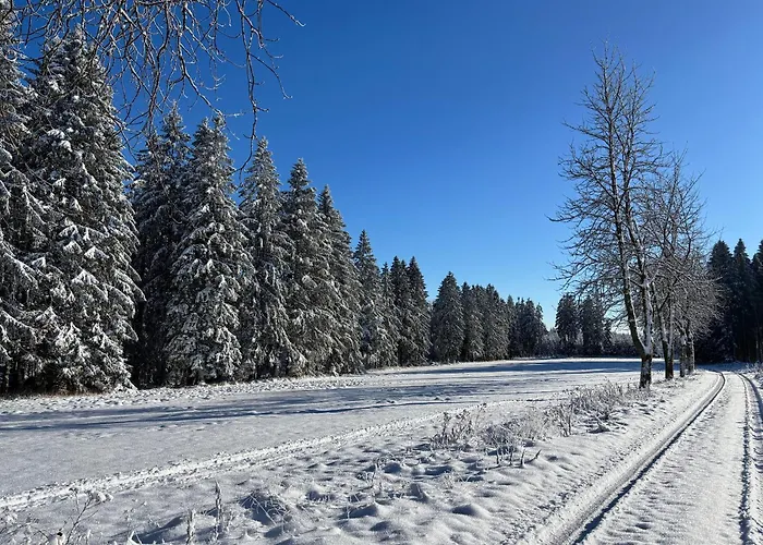 Berghütte Astenpanorama * Winterberg